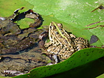 P1050397