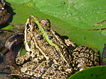 P1050398