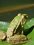 P1050400