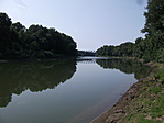 Szolnok 205
