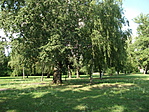 Szolnok 291