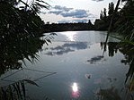 Szolnok 302