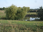 Szolnok 334