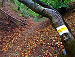 gcanti-IMG_3867