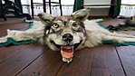 20170820_110758_001