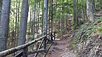 20170821_094536_001