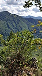 20170821_101627_001