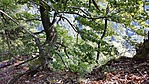 20170821_101422_001