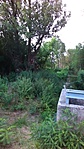 IMG_20170731_201814