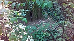 IMG_20170801_080213