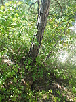 DSCF4874