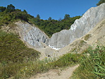 DSCF4882