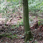 GCszhe_20170828162653.jpg