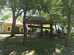 ilyen picéből van itt vagy 60