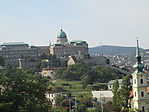 IMG_7811