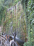IMG_7817