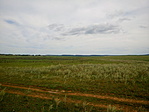 DSC_0858
