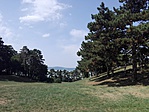 IMG_20170811_145434