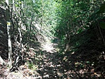 IMG_20170821_130122