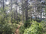 IMG_20170821_123132