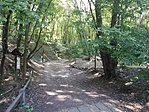 IMG_20170823_141417
