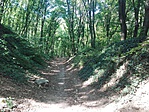 IMG_20170823_141533