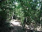 IMG_20170823_143825