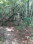 IMG_20170824_135919