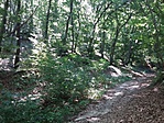 20170803_115006
