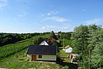 DSC00869