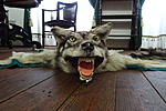DSC01217