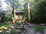 IMG_20170731_155728