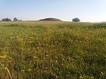 Kiskőrös-Felsőcebe: Kunhalom-2