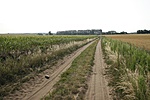 Leszállópálya