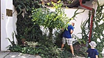 IMG_20170806_121009