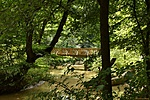 HER_1392_tn