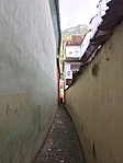 IMG_0388