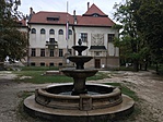 IMG_0503