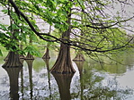 IMG_20170422_132349kicsi