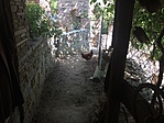 IMG_3926[1]