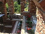 IMG_3929[1]