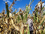 DSC02673