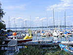DSCF0530
