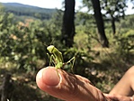 IMG_7068