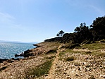 IMG_4727