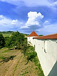 IMG_6357