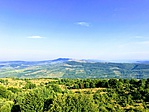 IMG_6382