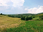 IMG_6424