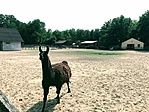 IMG_7082