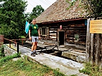 IMG_6489